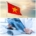An image of the Vietnam flag above an image of a doctor holding a diagnostic image used for medical treatment.